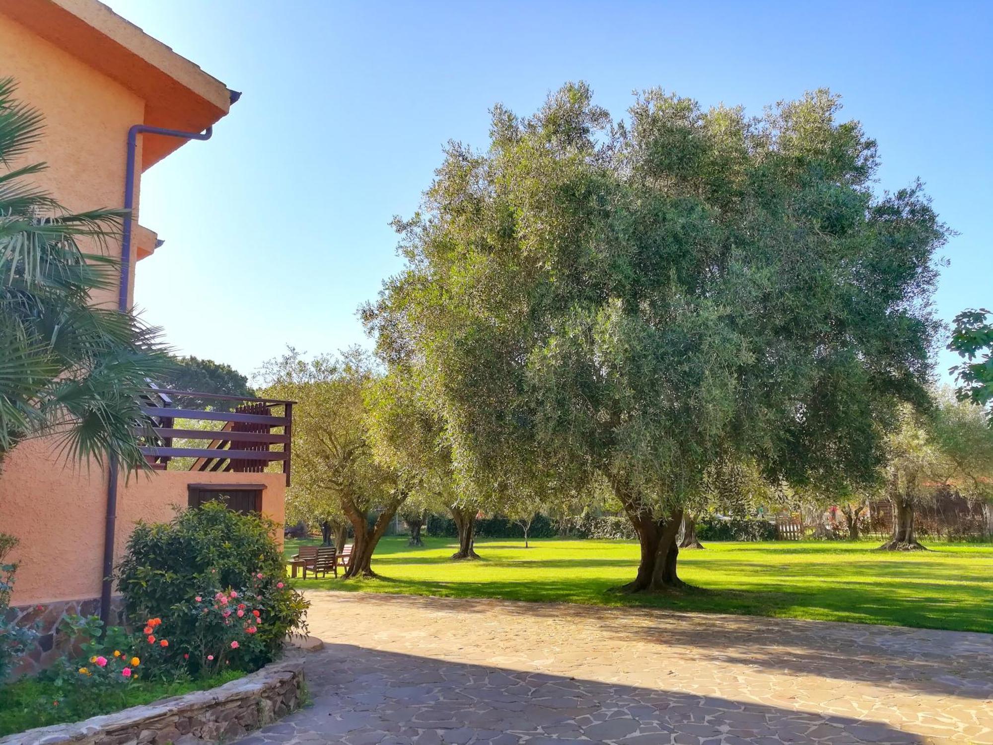 Bed and Breakfast Nuraghe Bianco Santa Maria la Palma Zewnętrze zdjęcie